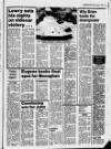 Belfast News-Letter Monday 01 April 1985 Page 19