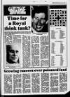 Belfast News-Letter Monday 08 April 1985 Page 15