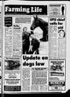 Belfast News-Letter Saturday 13 April 1985 Page 25