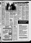 Belfast News-Letter Saturday 13 April 1985 Page 29