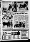 Belfast News-Letter Saturday 27 April 1985 Page 45
