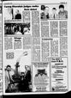 Belfast News-Letter Saturday 27 April 1985 Page 47