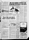 Belfast News-Letter Saturday 04 May 1985 Page 19