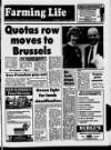 Belfast News-Letter Saturday 03 August 1985 Page 21