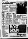 Belfast News-Letter Saturday 03 August 1985 Page 37