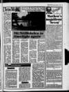 Belfast News-Letter Saturday 17 August 1985 Page 13