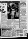 Belfast News-Letter Friday 01 November 1985 Page 19