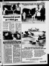 Belfast News-Letter Saturday 02 November 1985 Page 33