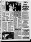 Belfast News-Letter Saturday 09 November 1985 Page 25