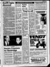 Belfast News-Letter Saturday 30 November 1985 Page 29