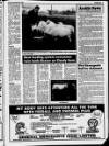 Belfast News-Letter Saturday 30 November 1985 Page 31