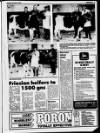 Belfast News-Letter Saturday 30 November 1985 Page 37