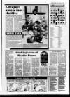 Belfast News-Letter Friday 10 January 1986 Page 17