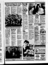 Belfast News-Letter Saturday 03 January 1987 Page 17