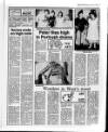 Belfast News-Letter Monday 04 January 1988 Page 17