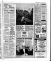 Belfast News-Letter Saturday 09 January 1988 Page 17