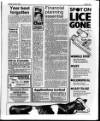 Belfast News-Letter Saturday 09 January 1988 Page 31