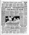 Belfast News-Letter Friday 15 January 1988 Page 13