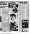 Belfast News-Letter Tuesday 19 January 1988 Page 17