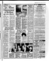 Belfast News-Letter Tuesday 19 January 1988 Page 25