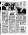 Belfast News-Letter Saturday 23 January 1988 Page 29