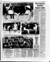Belfast News-Letter Saturday 23 January 1988 Page 31