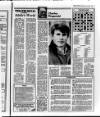 Belfast News-Letter Wednesday 27 January 1988 Page 17
