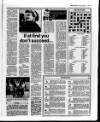 Belfast News-Letter Monday 01 February 1988 Page 17