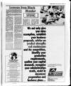 Belfast News-Letter Tuesday 02 February 1988 Page 19