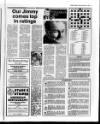 Belfast News-Letter Tuesday 09 February 1988 Page 43