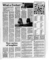 Belfast News-Letter Monday 29 February 1988 Page 17