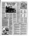 Belfast News-Letter Friday 03 June 1988 Page 17