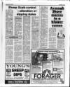 Belfast News-Letter Saturday 04 June 1988 Page 43