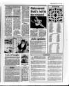 Belfast News-Letter Monday 06 June 1988 Page 17