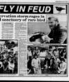 Belfast News-Letter Friday 10 June 1988 Page 21