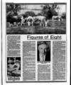 Belfast News-Letter Wednesday 06 July 1988 Page 53