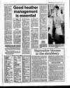 Belfast News-Letter Saturday 03 September 1988 Page 15