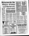 Belfast News-Letter Saturday 07 January 1989 Page 31