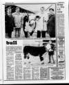 Belfast News-Letter Saturday 07 January 1989 Page 43