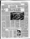 Belfast News-Letter Monday 20 February 1989 Page 19