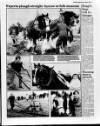 Belfast News-Letter Monday 03 April 1989 Page 7