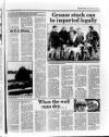 Belfast News-Letter Saturday 15 April 1989 Page 15