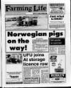 Belfast News-Letter Saturday 03 June 1989 Page 25