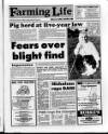 Belfast News-Letter Saturday 10 June 1989 Page 25
