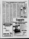 Belfast News-Letter Saturday 12 August 1989 Page 31