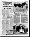 Belfast News-Letter Saturday 13 January 1990 Page 47