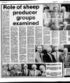 Belfast News-Letter Saturday 17 February 1990 Page 44