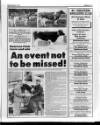 Belfast News-Letter Saturday 13 October 1990 Page 41