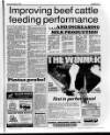 Belfast News-Letter Saturday 03 November 1990 Page 33