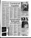 Belfast News-Letter Saturday 17 November 1990 Page 33